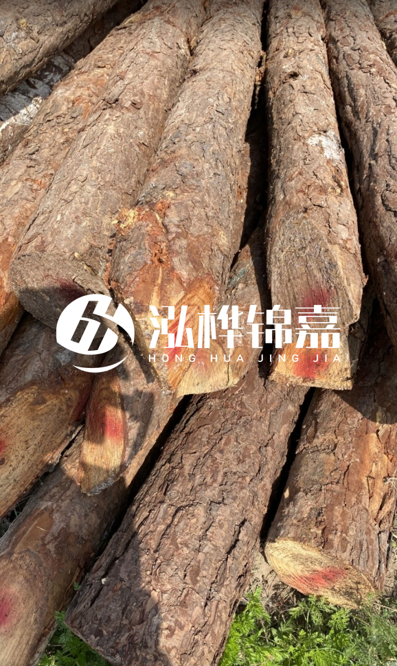 <strong>松木樁和杉木樁的用途區(qū)別？哪個(gè)更適合打樁用？</strong>