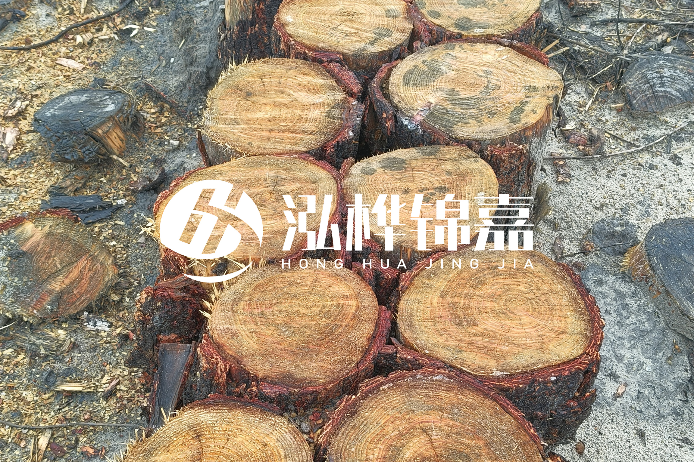 浙江臺(tái)州有清淤的公司嗎？浙江臺(tái)州有清淤施工隊(duì)嗎？