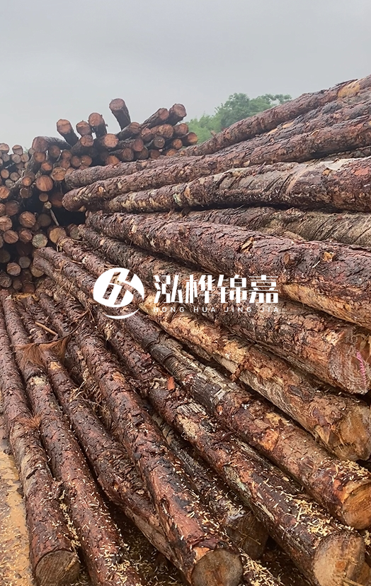 購(gòu)買松木樁注意事項(xiàng)有哪些-不同直徑松木樁區(qū)別有哪些？