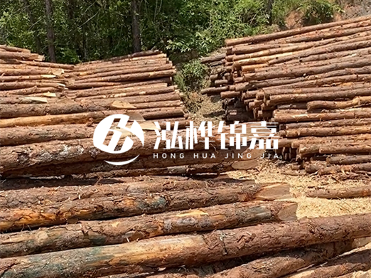 松木樁的運(yùn)輸費(fèi)用是否包含卸車費(fèi)？卸貨時(shí)需要注意哪些安全問(wèn)題？