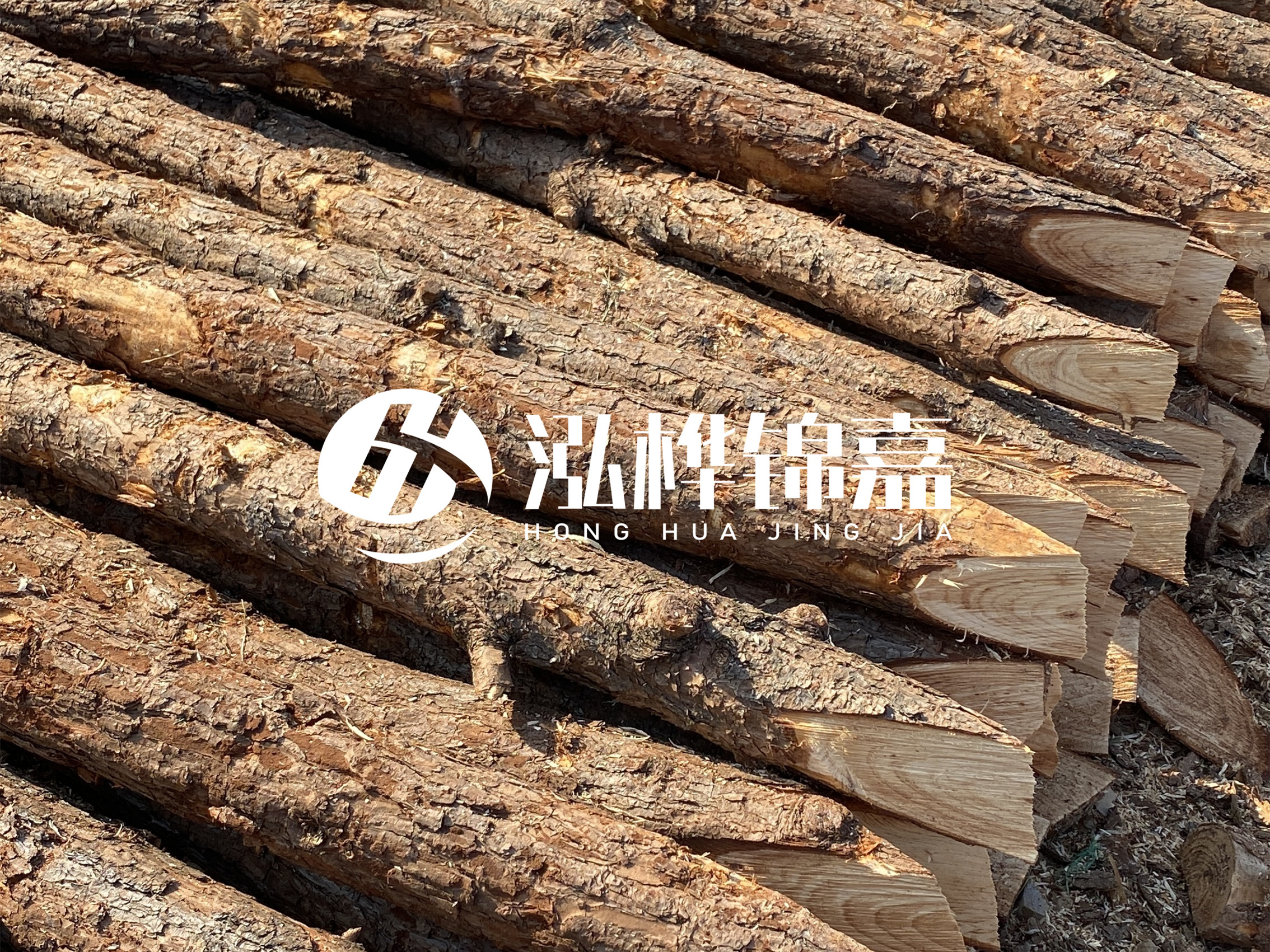 8 米超大直徑松木樁的價格是多少？帶皮和去皮松木樁價格差多少？