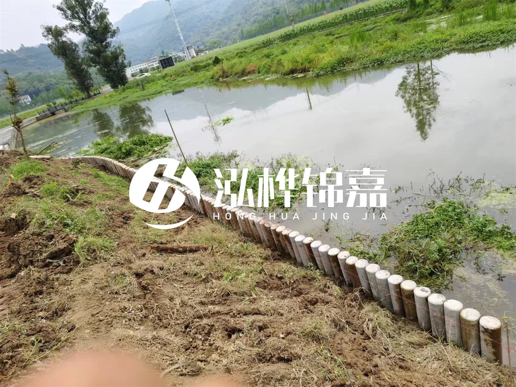 松木樁加固河道與水泥樁對比如何？哪一種更加適合您？