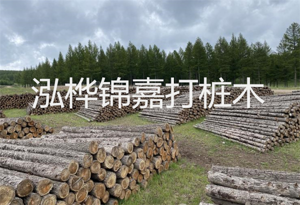 水杉養(yǎng)殖方法與技巧，水杉怎么養(yǎng)家庭養(yǎng)法