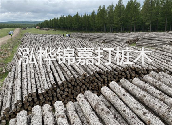河道打木樁施工方案怎么寫，河道打木樁施工方案范本
