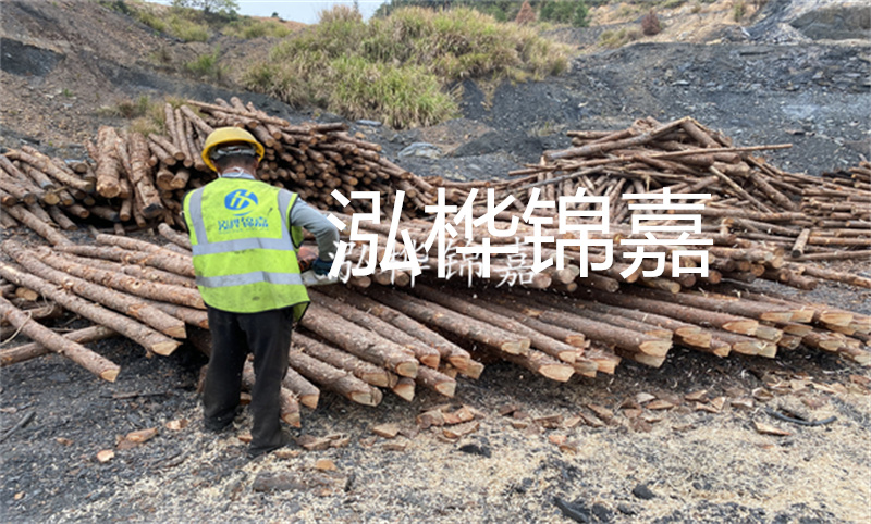 室外防腐木用什么油漆好，防腐木和碳化木哪種好