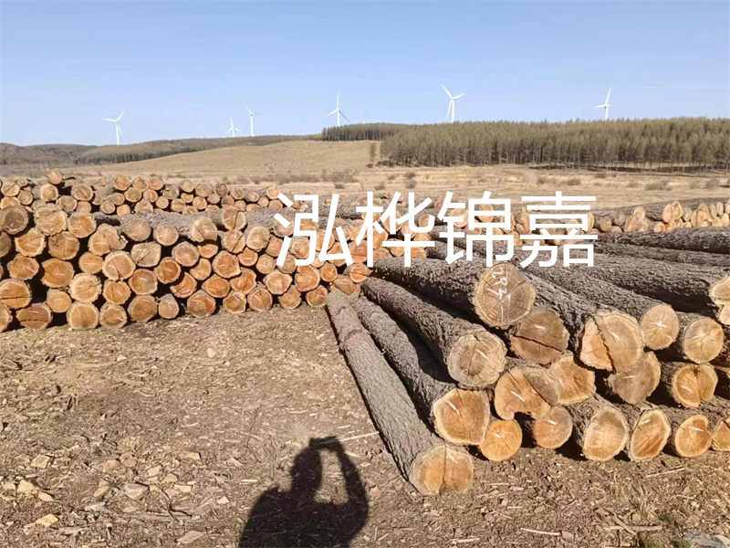 河道治理與生態(tài)修復施工方案