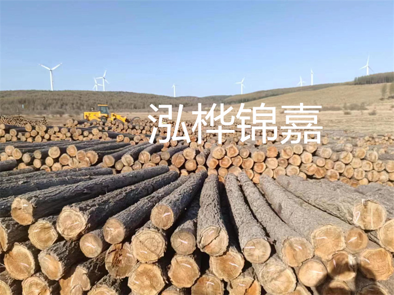 圓木樁多少錢(qián)一方,圓木樁價(jià)格表